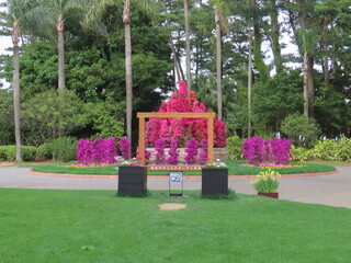 宮崎、青島神宮とボタニックガーデン青島