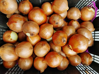 fresh onions in black basket It is widely edible due to its pungent flavor and distinctive aroma.