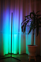 Floor lamp with gradient neon green and blue light near the flower. Trendy style. Neon sign. Custom...