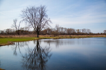 lake in the park