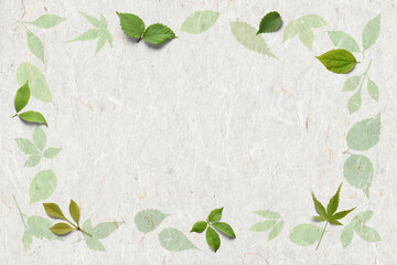 新緑の葉っぱを漉き込んだ、白い手漉き和紙