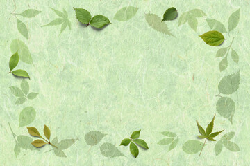 もえぎ色の手漉き和紙に漉き込んだ、新緑の若葉
