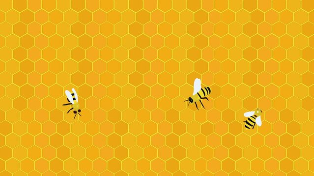 bees walk and fly on their honeycomb, hexagon