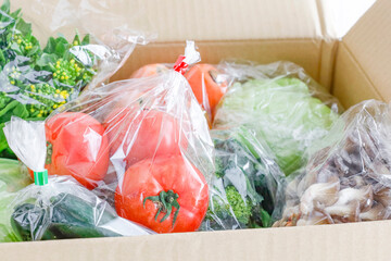 箱いっぱいの野菜