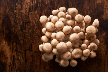 Shimeji mushrooms are known mainly from Japanese and Chinese cuisine, used primarily in stir-fried dishes and soups.