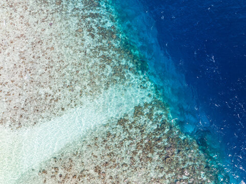 Aerial view of a coral reef in the Maldives