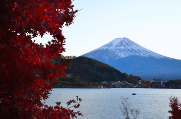 Red Maple leaf with Kawaguchiko lake and Mt.Fuji in Japan.