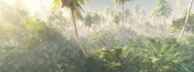 Dschungel, Regenwald während der Planke, Palmen morgens im Nebel, Dschungel im Dunst, 3D-Rendering © ustas