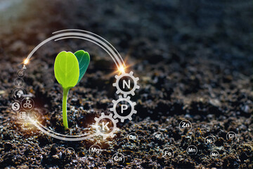 Pumpkin seedlings grow from fertile ground and have technology icons about minerals in the soil...