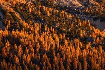 Autumn in the Italian Dolomites. The most beautiful time of the year to visit this place. Beautiful colors and breathtaking views. Mountain peaks above the valleys.
