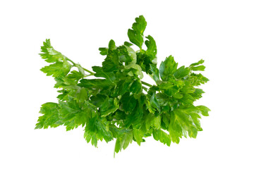 parsley leaves on a white isolated background