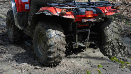 Obraz premium Close-up of the red ATV riding through the muddy woods. Rear view. Extreme type of outdoor activities. Riding on a quad bike.