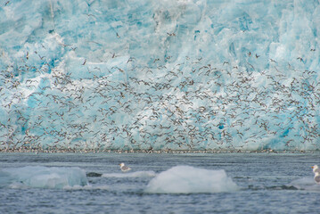 Arctic landscape