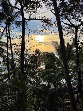 Beautiful sunset in the tropical paradise. Wild nature. Jungles. South island. Vertical frame. Sun breaks through the thickets of trees. Sea on the horizon. Seaside. Ocean. Palm trees, orange sun glow