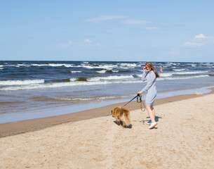 Brown Finnish Lapphund on the sea with the owner