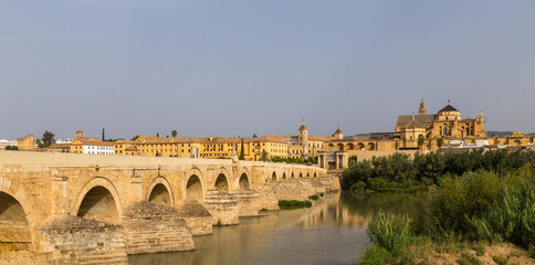 Fototapeta premium Roman Bridge of Cordoba