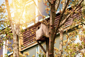 Birdhouse hangs on tree branches outside residential building