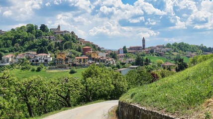 the village of monforte d'alba, in the heart of the Piedmontese Langhe, home of the best viogneti and vinio wines in the world - obrazy, fototapety, plakaty
