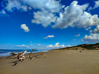 Fototapeta na wymiar Marine landscape of the beach of Marina Castagneto Carducci Tuscany Italy