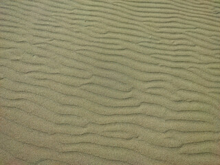 Sand wavy from the wind of the beach of Marina Castagneto Carducci Tuscany Italy