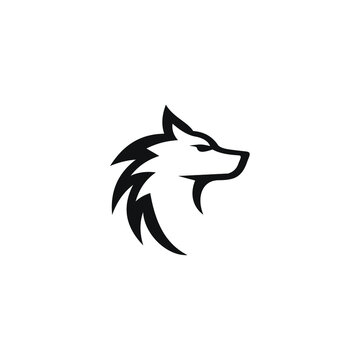 head of a wolf vector stock illustration
