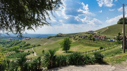 the Piedmontese Langhe between Barolo and Monforte d'Alba in spring in 2022