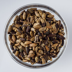 milk thistle seeds on a white acrylic background