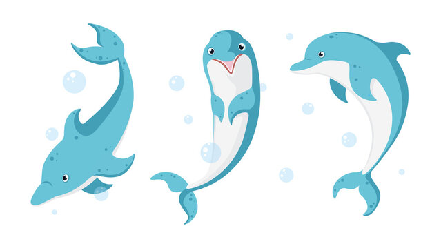 Vector illustration of cute and beautiful dolphins on white background. Charming characters in different poses with top view, side view and interest and bubbles around in cartoon style.