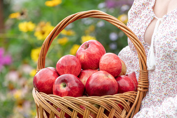 Woman holding a wicker basket with red apples