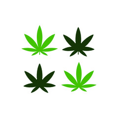 cannabis leaf isolated on white background