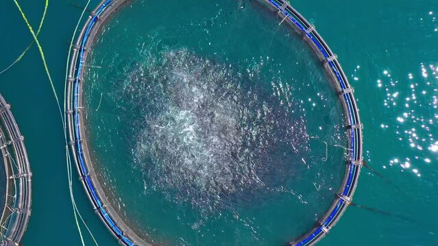Cage system fish farming in Greece aerial view