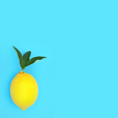 Lemon fruit with green leaf sprig on blue background. Abstract minimal design for summer healthy food for losing weight concept with copy space.