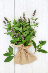 Peppermint herb leaves in a bunch in a brown paper bag. Used in food seasoning and herbal plant medicine to treat ibs digestive problems, nausea, skin conditions, cold and flu, headaches.  