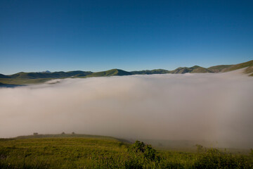 Castelluccio di Norcia, fioritua