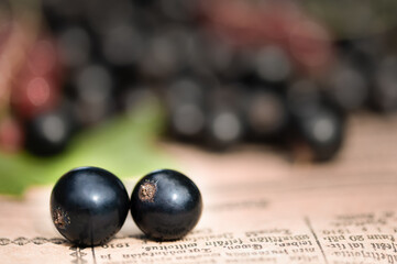 Currant berries on an old newspaper