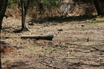 Obraz premium 地面