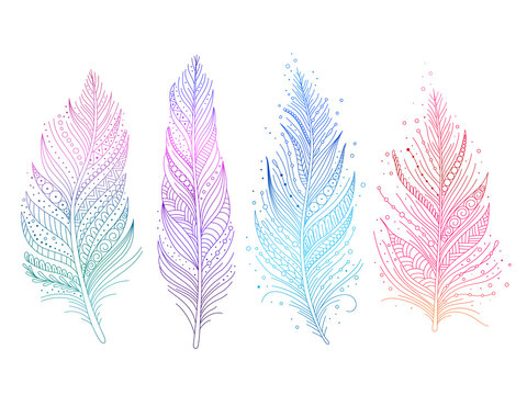 Colored bird feathers