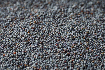 poppy seeds on a white acrylic background