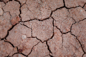 Top view cracked red soil. Picture of natural disaster. Drought land, global warming and deforestation. Image of brown soil texture, close up.