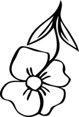 collection forest fern eucalyptus art foliage natural
leaves herbs inline style. Decorative beauty, elegant illustration 
Vector flower Botanical