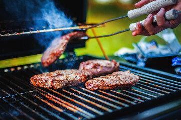 summer barbecue in the garden grilled steaks