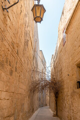 Narrow path between old fortress buildings with a dry tree in old Malta Capital Mdina