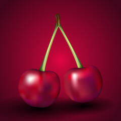 Cherry Fruit Vector Illustration on Red Background Design