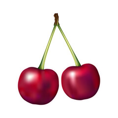 Cherry Fruit Realistic Vector Illustration Isolated on White Background Design