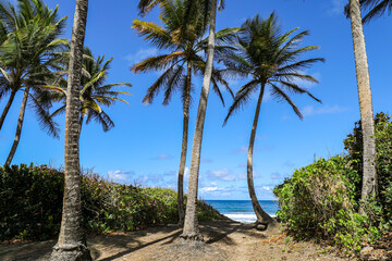 Charpentier beach in Sainte-Marie, Martinique, French Antilles