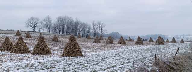 Corn Shocks in a Snowy Field with Woods in the Background | Holmes County, Ohio
