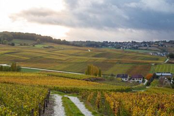 Vue sur les vignes depuis sur le Le Phare de Verzenay, au coeur du vignoble champenois, érigé en 1909 par Joseph Goulet, négociant en vins de Champagne entre Reims et Epernay, dans la Marne