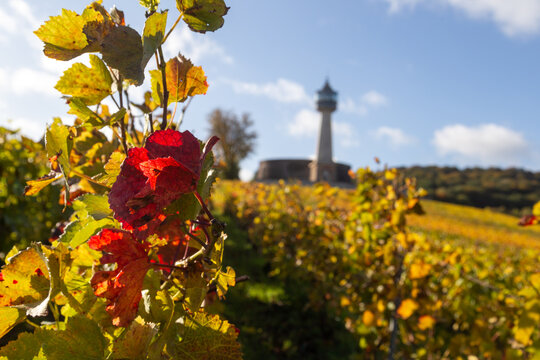 Le Phare de Verzenay, au coeur du vignoble champenois, érigé en 1909 par Joseph Goulet, négociant en vins de Champagne entre Reims et Epernay, dans la Marne
