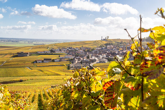 Vue panoramique sur le Le Phare de Verzenay, au coeur du vignoble champenois, érigé en 1909 par Joseph Goulet, négociant en vins de Champagne entre Reims et Epernay, dans la Marne