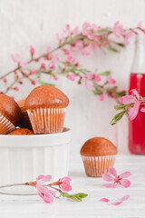 Fresh vanilla muffins in a white bowl on a white background.